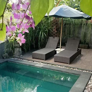  Accommodatie bij particulieren D'puja And Indonesië